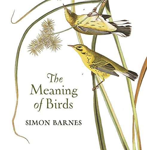 Stock image for The Meaning of Birds for sale by WorldofBooks