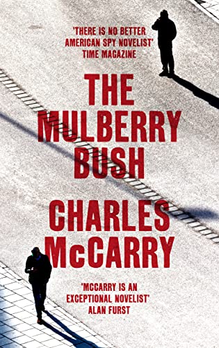 Imagen de archivo de The Mulberry Bush a la venta por Reuseabook