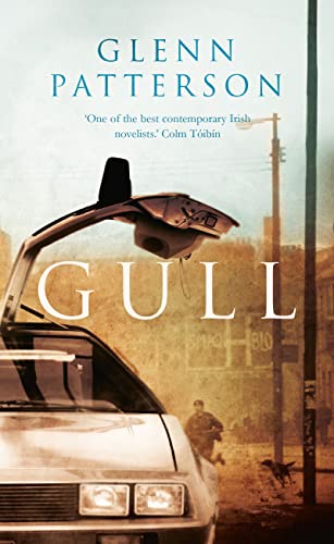 Stock image for Gull for sale by WorldofBooks