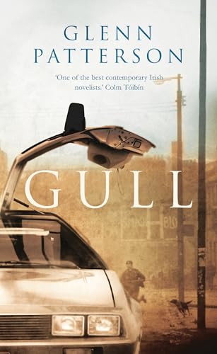 Stock image for Gull for sale by WorldofBooks