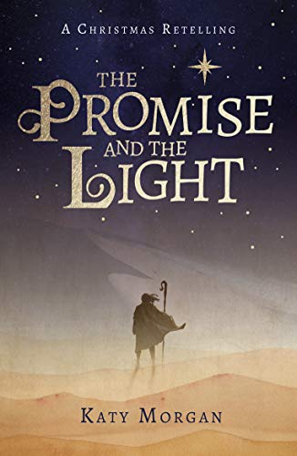 Stock image for The Promise and the Light: A Christmas Retelling for sale by Reuseabook