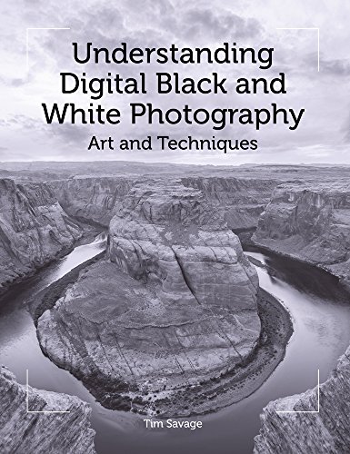 Stock image for Understanding Digital Black and White Photography: Art and Techniques for sale by Red-books ( Member of P.B.F.A. )