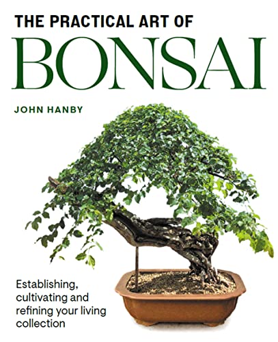 Stock image for Practical Art of Bonsai for sale by Blackwell's