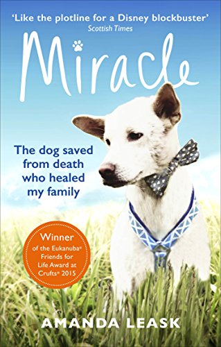 Stock image for Miracle for sale by WorldofBooks