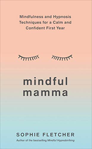 Imagen de archivo de Mindful Mamma: Mindfulness and Hypnosis Techniques for a Calm and Confident First Year a la venta por ThriftBooks-Dallas