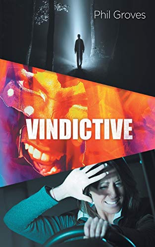 Stock image for Vindictive for sale by Chiron Media