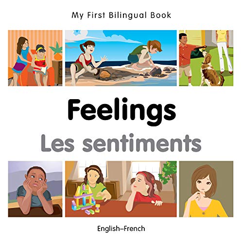 Stock image for My First Bilingual Book-Feelings (English-French) for sale by ThriftBooks-Dallas