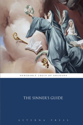 Stock image for The Sinner's Guide for sale by Wonder Book