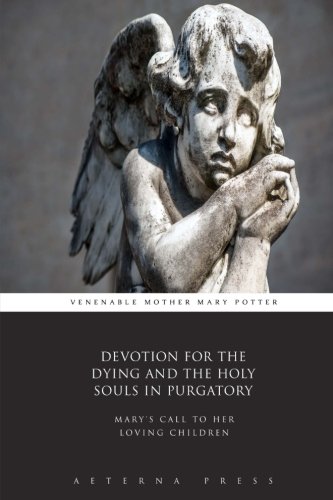 Stock image for Devotion for the Dying and the Holy Souls in Purgatory: Mary's Call to Her Loving Children for sale by Revaluation Books