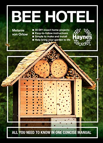 Stock image for Bee Hotel for sale by Blackwell's