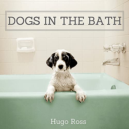 Imagen de archivo de Dogs in the Bath a la venta por HPB Inc.