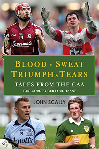 Stock image for Blood, Sweat, Triumph and Tears: Tales from the GAA for sale by WorldofBooks