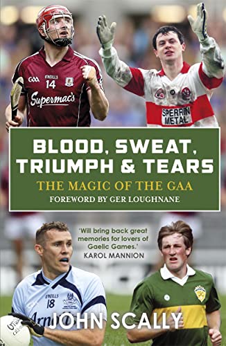 Stock image for Blood, Sweat, Triumph & Tears: The Magic of the GAA for sale by WorldofBooks