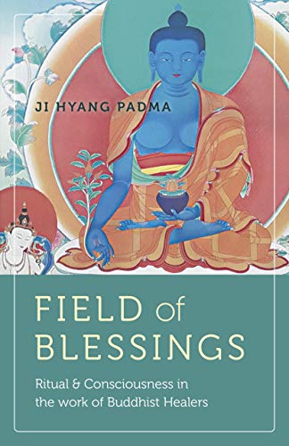 Stock image for Field of Blessings: Ritual & Consciousness in the Work of Buddhist Healers for sale by SecondSale