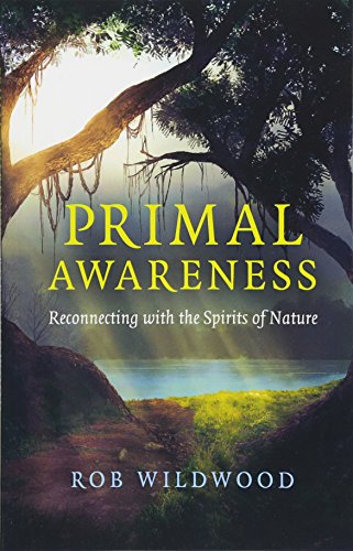 Stock image for Primal Awareness: Reconnecting With The Spirits Of Nature for sale by SecondSale