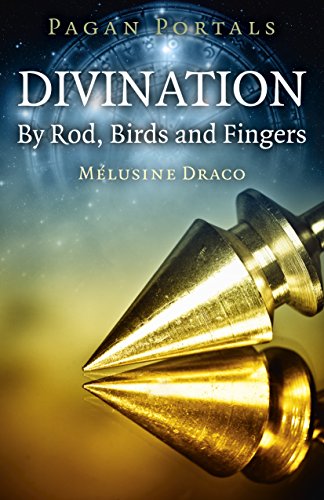 Imagen de archivo de PAGAN PORTALS DIVINATION:BY ROD BIRD Format: Paperback a la venta por INDOO