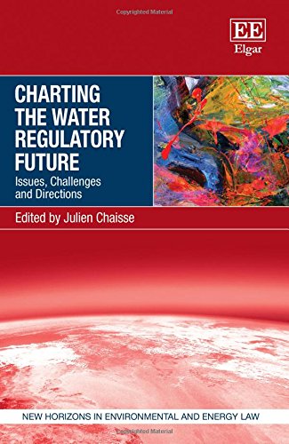 Imagen de archivo de Charting the Water Regulatory Future: Issues, Challenges and Directions (New Horizons in Environmental and Energy Law Series) a la venta por Bestsellersuk