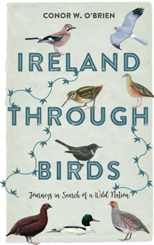 Beispielbild fr Ireland through Birds: Journeys in Search of a Wild Nation zum Verkauf von WorldofBooks
