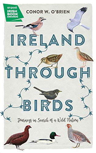 Stock image for Ireland Through Birds: Journeys in Search of a Wild Nation for sale by Goodwill of Colorado