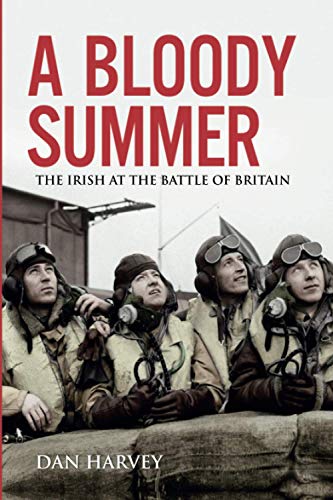 Imagen de archivo de A Bloody Summer : The Irish at the Battle of Britain a la venta por Better World Books