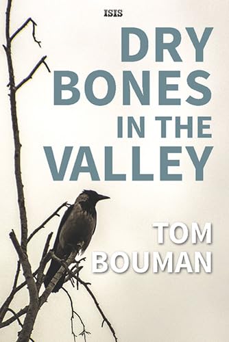 9781785416217: Dry Bones In The Valley