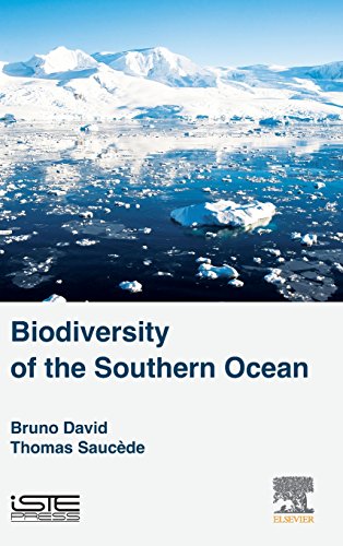 Stock image for Biodiversity of the Southern Ocean for sale by THE SAINT BOOKSTORE