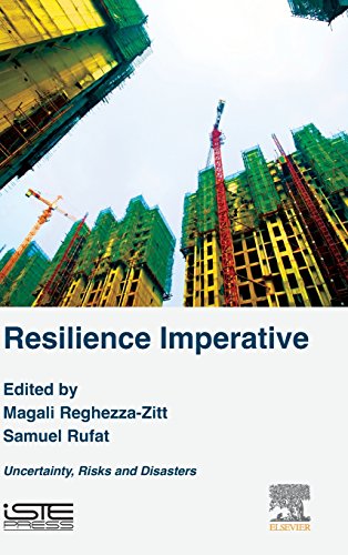 Stock image for Resilience Imperative: Uncertainty, Risks and Disasters for sale by Chiron Media