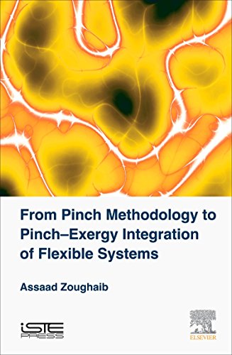 Beispielbild fr From Pinch Methodology to Pinch-Exergy Integration of Flexible Systems zum Verkauf von THE SAINT BOOKSTORE
