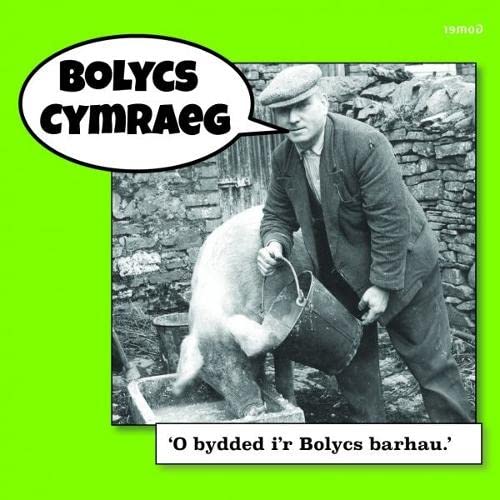 Imagen de archivo de Bolycs Cymraeg a la venta por WorldofBooks