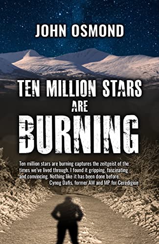 Stock image for Ten Million Stars Are Burning for sale by WorldofBooks