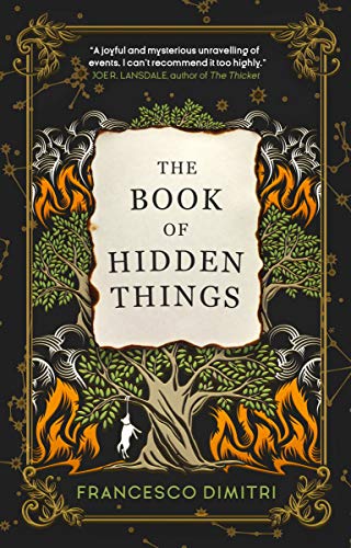 Beispielbild fr The Book of Hidden Things zum Verkauf von Better World Books