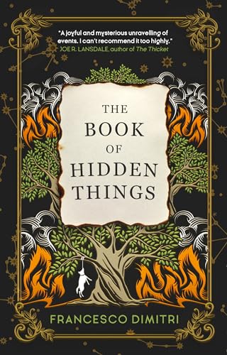 Stock image for The Book of Hidden Things for sale by WorldofBooks
