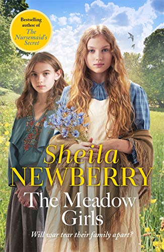 Beispielbild fr The Meadow Girls: A heartwarming World War I saga (Memory Lane) zum Verkauf von WorldofBooks