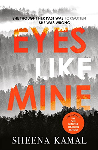 Stock image for Eyes Like Mine: 'Utterly compelling . . . Will stay with you for a long, long time' Jeffery Deaver for sale by WorldofBooks