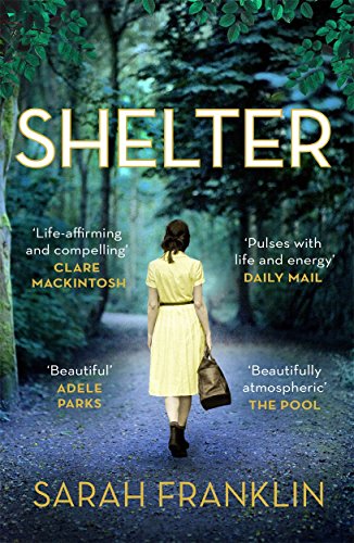 Stock image for Shelter: `One of the year's hottest debuts' for sale by SecondSale