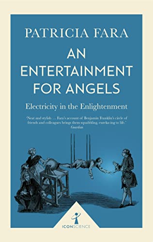 Imagen de archivo de An Entertainment for Angels (Icon Science): Electricity in the Enlightenment a la venta por WorldofBooks