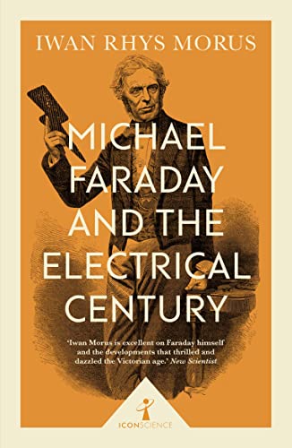 Stock image for Michael Faraday and the Electrical Century (Icon Science) for sale by Ebooksweb