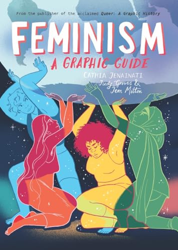 Stock image for Feminism: A Graphic Guide for sale by Bookmans