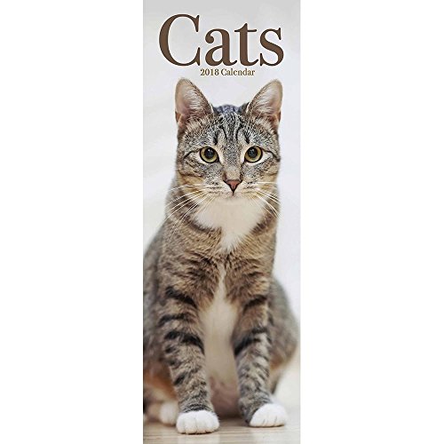 Beispielbild fr Cats Slim Calendar 2018 (Slim Standard) zum Verkauf von medimops