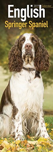 Beispielbild fr English Springer Spaniel Slim Calendar 2019 zum Verkauf von medimops