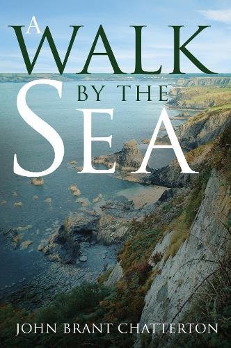 Beispielbild fr A Walk by the Sea: A Journey into the New Millennium zum Verkauf von WorldofBooks