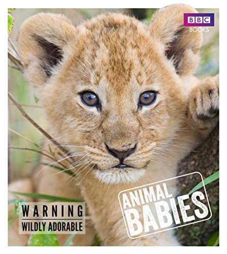 Stock image for Animal Babies for sale by WorldofBooks