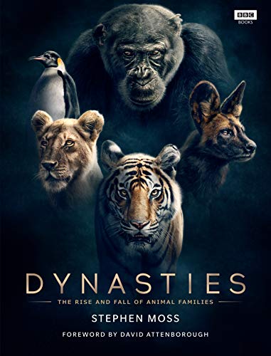Dynasties: The Rise and Fall of Animal Families - Stephen Moss