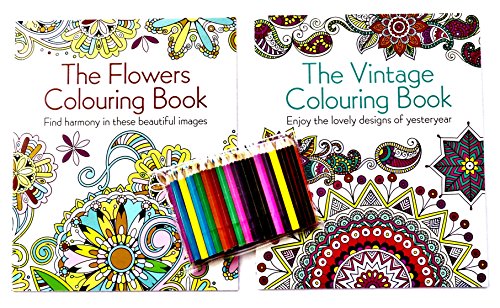 Stock image for The Vintage Colouring Book: Enjoy the Lovely Designs of Yesteryear for sale by AwesomeBooks