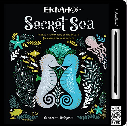 Imagen de archivo de Etchart: Secret Sea a la venta por Book Outpost