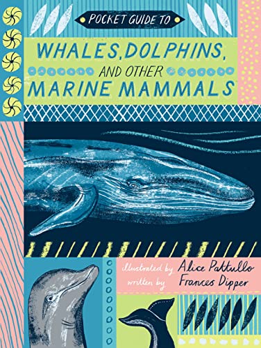 9781786031099: Pocket Guide to Whales, Dolphins and Other Marine Mammals