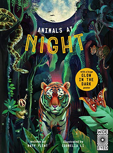 Stock image for Animals at Night: 1 (Glow in the Dark) for sale by WorldofBooks