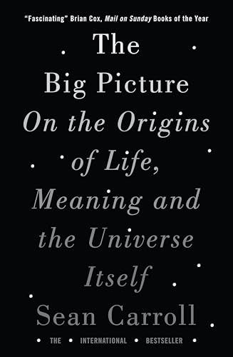Imagen de archivo de The Big Picture a la venta por Big River Books