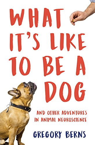 Beispielbild fr What It's Like to Be a Dog: And Other Adventures in Animal Neuroscience zum Verkauf von WorldofBooks