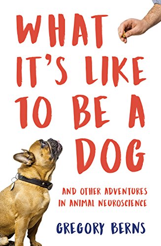 Stock image for What It's Like to Be a Dog: And Other Adventures in Animal Neuroscience for sale by WorldofBooks